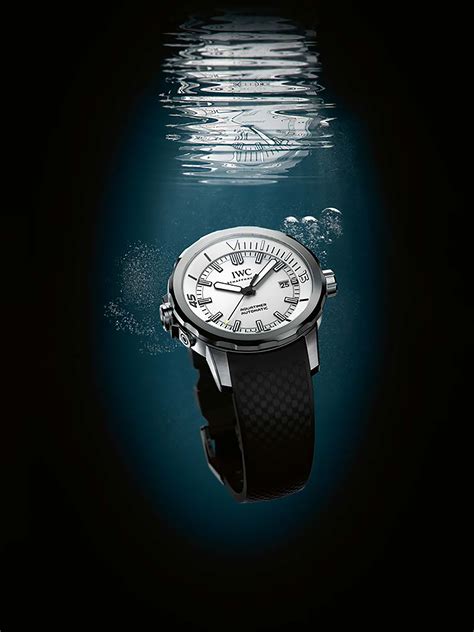 iwc schaffhausen watch care.